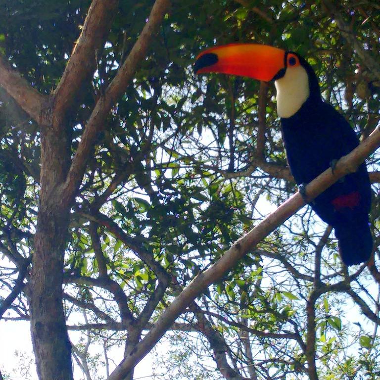 Pousada Tucano Do Cuiaba Itaipava Dış mekan fotoğraf