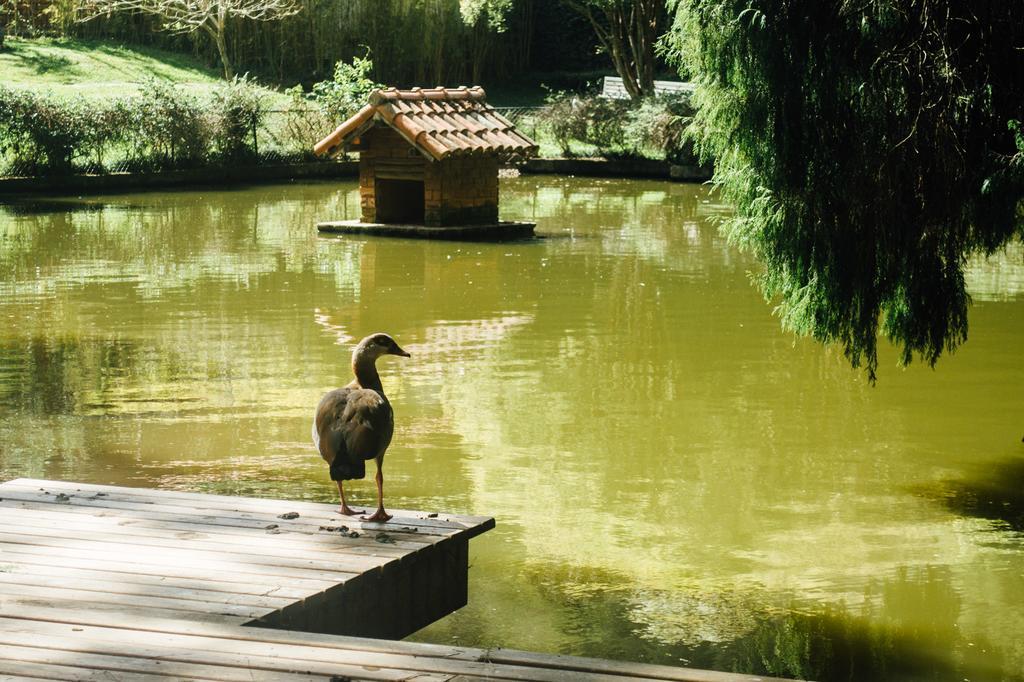 Pousada Tucano Do Cuiaba Itaipava Dış mekan fotoğraf